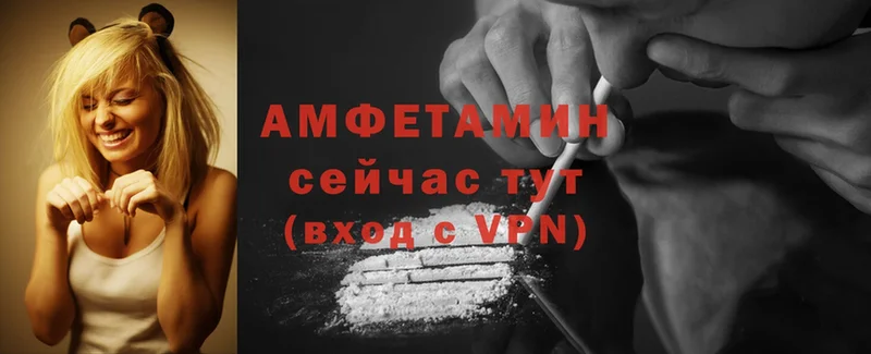 где можно купить   Боготол  Amphetamine VHQ 