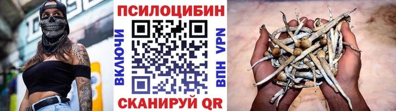 Псилоцибиновые грибы прущие грибы  МЕГА сайт  Боготол 